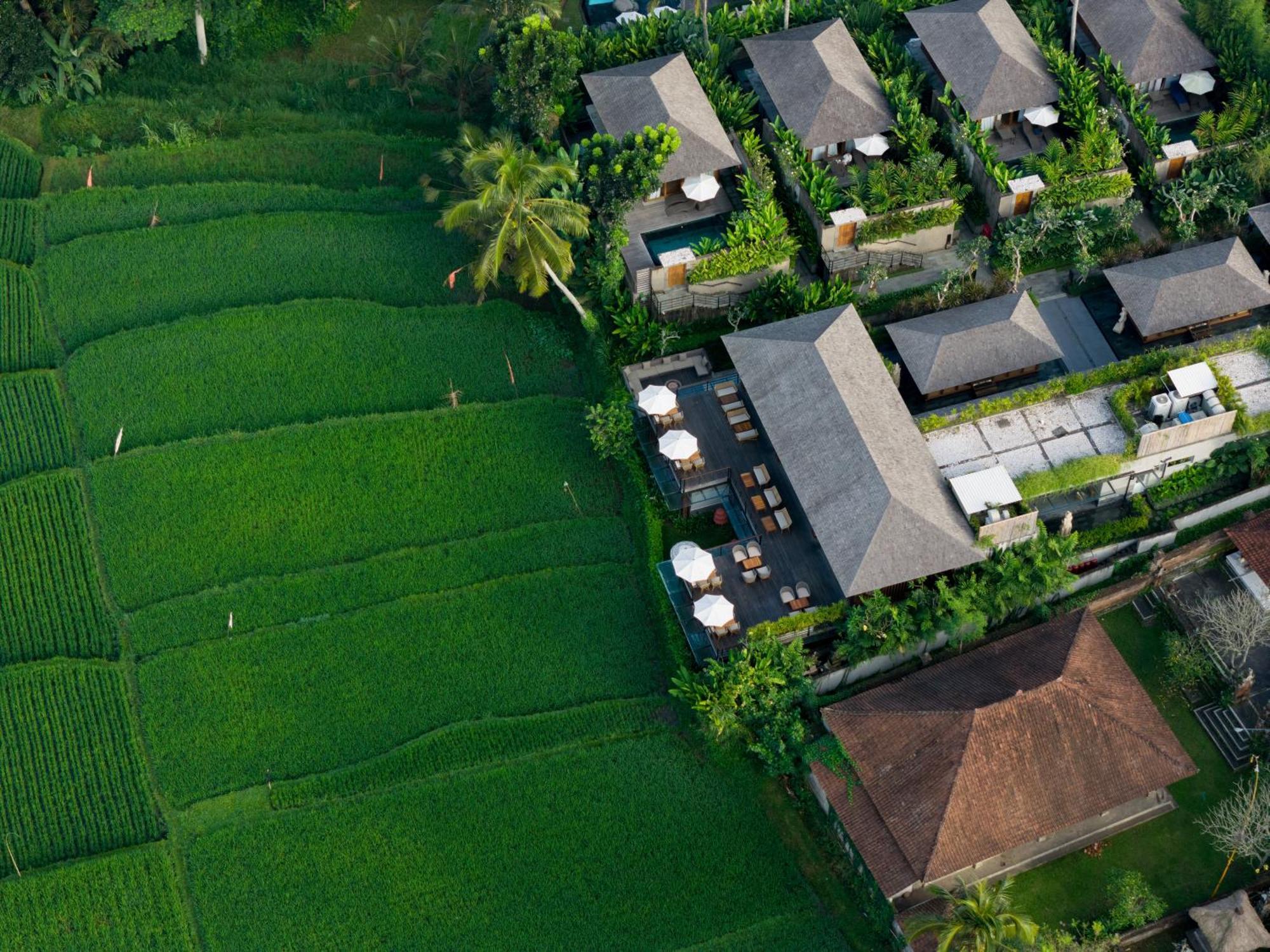 Kappa Senses Ubud מראה חיצוני תמונה